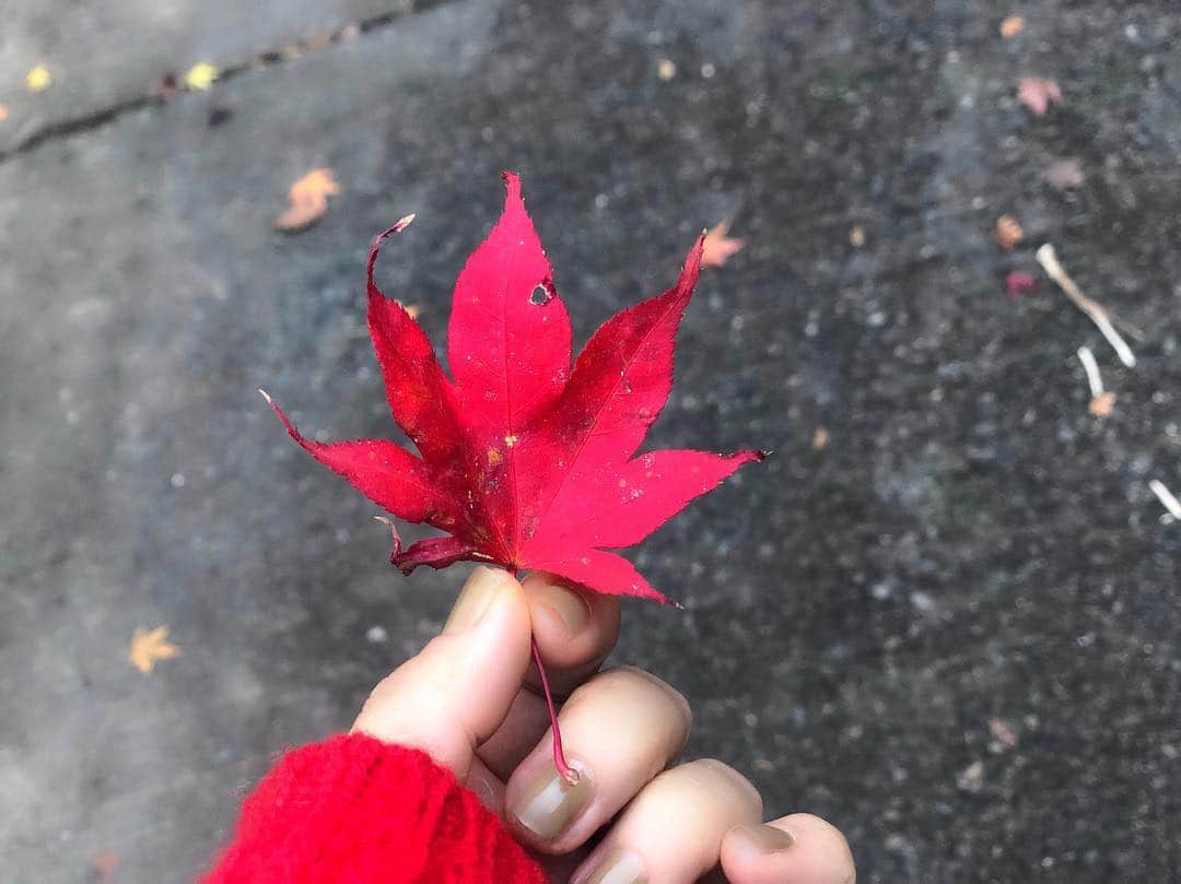 神崎恵さんのインスタグラム写真 - (神崎恵Instagram)「今だけの色を楽しみに、 いつもの場所へ。 #秋川渓谷 #秋の色」11月23日 17時32分 - megumi_kanzaki