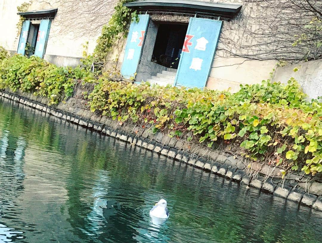 中城あすかさんのインスタグラム写真 - (中城あすかInstagram)「小樽運河クルーズ🚤 . 運河、倉庫についてなど歴史の説明を聞きながら。 . 小樽博物館と、小樽運河クルーズで歴史を少し知れました！ 学んでからの景色はまた違って見えたな😊 . #北海道#小樽#旅行#小樽運河クルーズ#小樽運河#港町#otaru#hokkaido」11月23日 18時08分 - asukanakajo