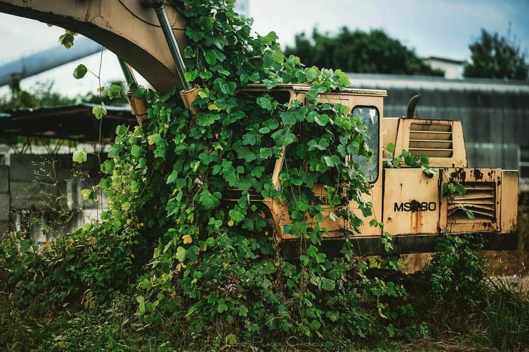 啝 （わ）さんのインスタグラム写真 - (啝 （わ）Instagram)「Abandoned heavy vehicles III #草ヒロ #廃重機」11月23日 20時55分 - neji_maki_dori