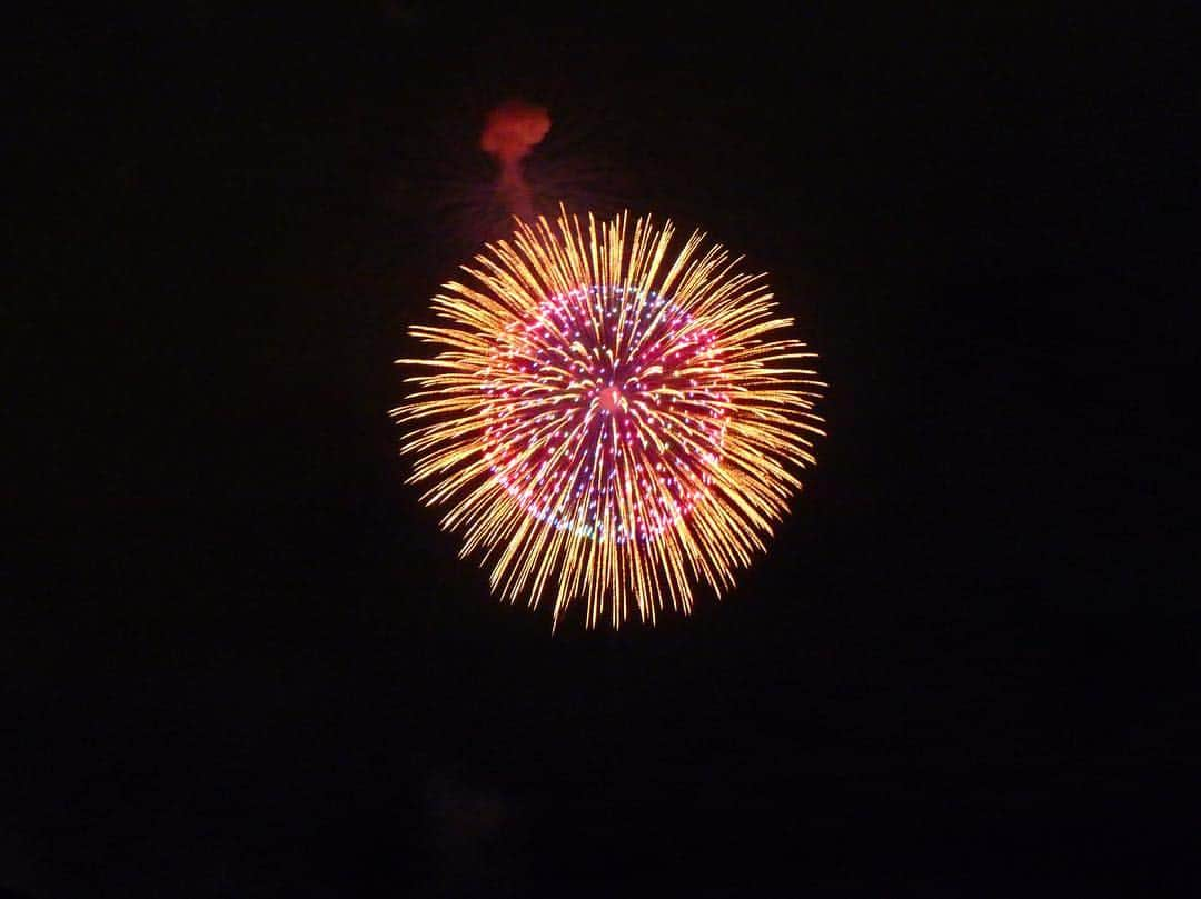 福野来夢さんのインスタグラム写真 - (福野来夢Instagram)「今年の夏は花火見れなかったから今日立川の花火大会に行ってきたよ♡ 凍え死ぬかと思うくらい寒かったけど花火が最高だった(*⁰▿⁰*)！ ぺろりんも初めて見る花火の音にびっくりして興味津々の様子でした♪ . #立川 #花火大会 #11月23日 #2018 #秋 #愛犬とお出かけ #ぺろ #チワワ #マルチーズ #ミックス #チワマル」11月23日 22時53分 - rappy217