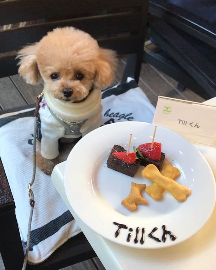 ❤︎Till❤︎のグルメインスタ