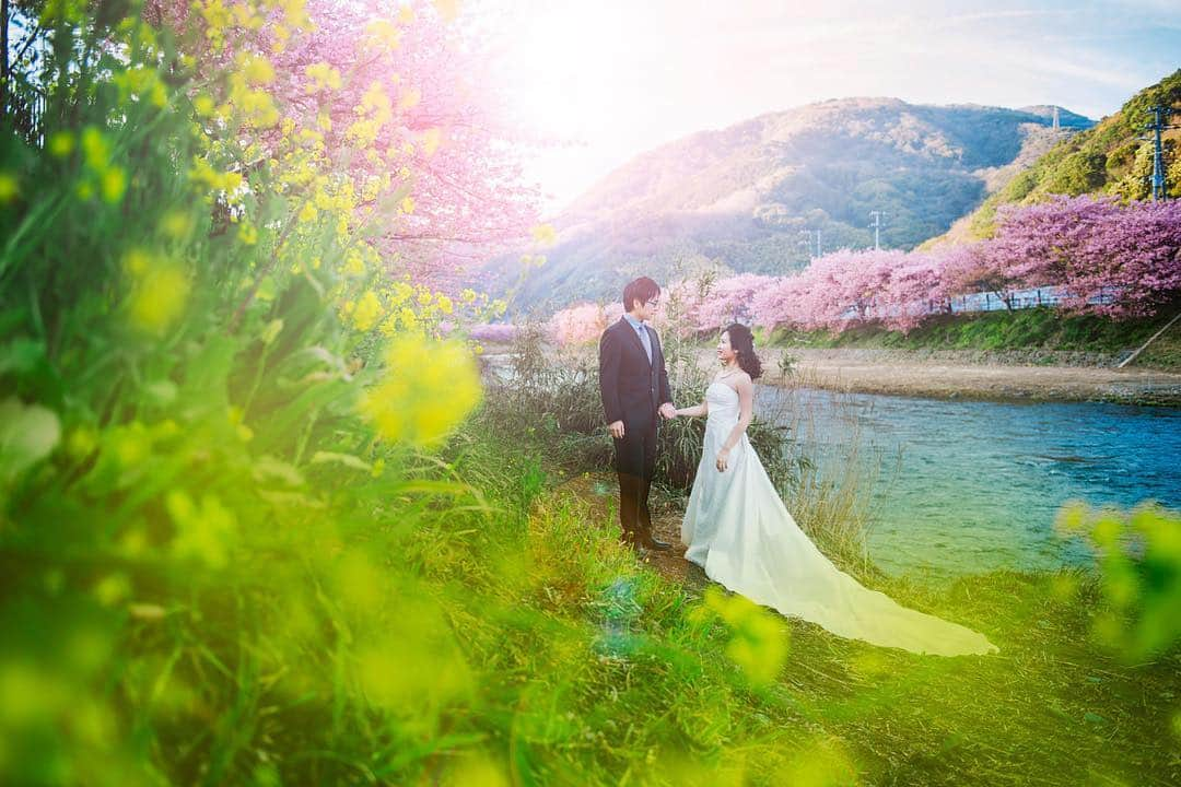 Famarryさんのインスタグラム写真 - (FamarryInstagram)「A beautiful story-like scenery with cherry blossoms and a picturesque mountain. #YewkongPhotography  桜と菜の花に囲まれて、おとぎ話の世界みたい。 #桜フォト #2019春婚  ーーーーーーーーーーーーーーーーーーーーーーー Want to plan your own overseas photoshoot? Check us out at  @famarry_jp or our website! くわしくは@famarry_jpプロフィールのURLから！ ーーーーーーーーーーーーーーーーーーーーーーー With over 800 photographers registered in our database, we have all the resources to make your dream photoshoot a reality. Just let us know... What is your dream? どこでもフォトウェディングの最高の舞台に。もっとクリエイティブに、もっと自由に。最安値で理想の撮影を実現。 国内、海外の800人以上のプロフォトグラファーが登録。ロケーション、ウェディング当日撮影、ハネムーンフォトも思いのままに。 ——— #ウェディング撮影といえばファマリー #出張カメラマン #出張撮影 #前撮り #後撮り #ロケーション撮影 #ウェディングフォト #フォトウェディング #ロケーションフォト #結婚写真 #花嫁準備 #結婚 #結婚準備 #写真家 #famarry #ファマリー  #destinationwedding #destinationweddingphotographer #prewedding #preweddingphoto #weddingphotographer #preweddingideas #bride #bridetobe #japan #destinationphotographer #japanprewedding」11月23日 23時56分 - famarry_jp