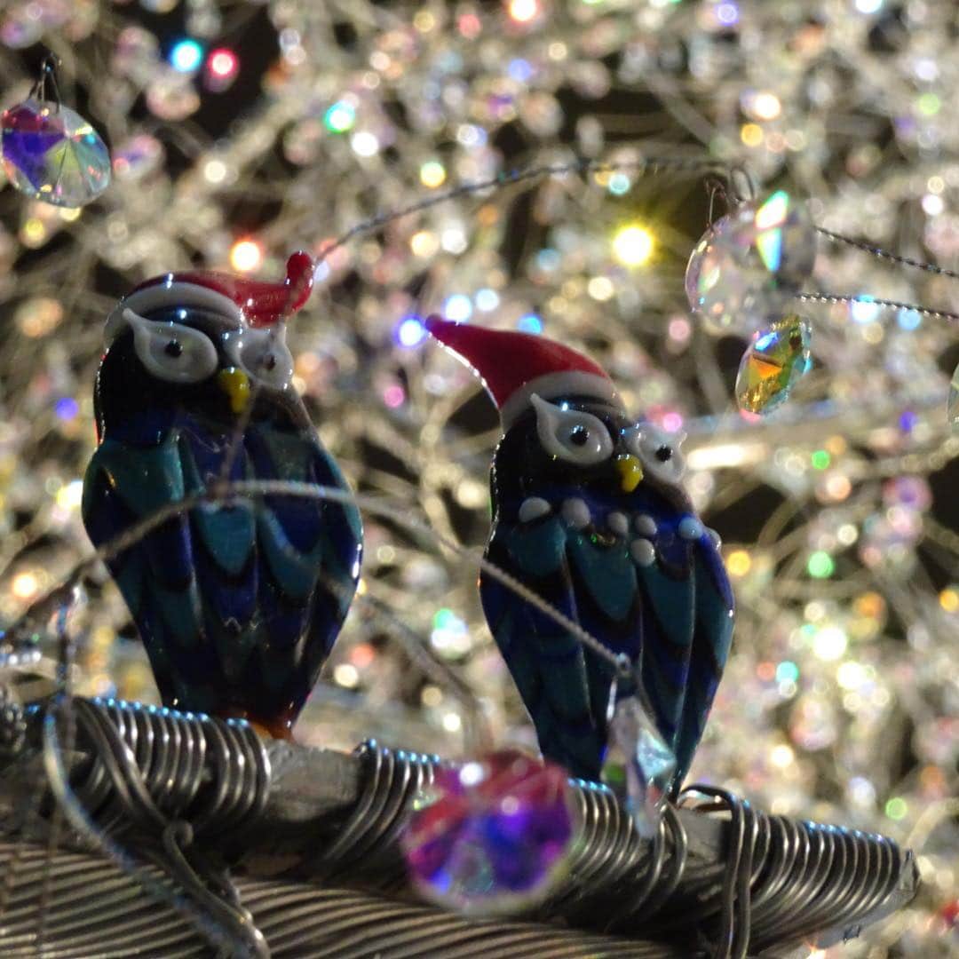 梅野舞のグルメインスタ