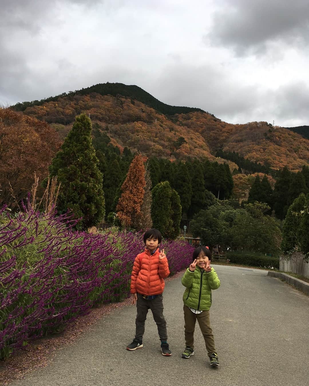 あだち理絵子さんのインスタグラム写真 - (あだち理絵子Instagram)「#ヨーデルの森 行ってきました。  大阪から2時間弱  のどかーな、山間にありました。  連休でもさほど混んでないっ！  #バードショー で 二羽の色鮮やかなインコが連れ添って飛ぶ姿は非現実的で感動した。  #ドッグショー も トレーナーさん達のひたむきな姿勢が良い😘  まさかねおみくじ鳥もいて、 100円をお賽銭箱に入れて、おみくじをとってきてくれる。  #商売上手  アーチェリーも大人もやりたくて バンバン 矢を買っちゃう（笑）  他にも カンガルーやアルパカを触りまくり 子供らも楽しんでました。  残念なのは バイキングレストランが、 料理冷めすぎだし、 美味しくなかったこと😭  次回はバーベキューにするかのぉ。  15時くらいからめちゃ冷えてくるので気をつけてねん。  #子連れレジャー #あそび場  #小1ママ#年少さんママ」11月24日 13時30分 - adachi.rieko