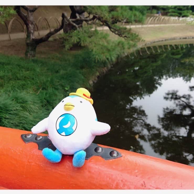 DeNAトラベルのインスタグラム：「みんな久しぶり～～﻿ エアトリさんだよ～～🐥﻿ この前、香川県の栗林公園に行ってきたよ～～　﻿ 今は紅葉がライトアップ💡されていてとっても綺麗だからみんな行ってみてね～～🍁🍁🍁﻿ ﻿ ﻿ ﻿ ﻿ ﻿ #旅行 #旅行好き #旅行好きな人と繋がりたい #エアトリ #エアトリさんの旅行日記 #香川 #栗林公園 #紅葉 #エアトリさん #ライトアップ紅葉」