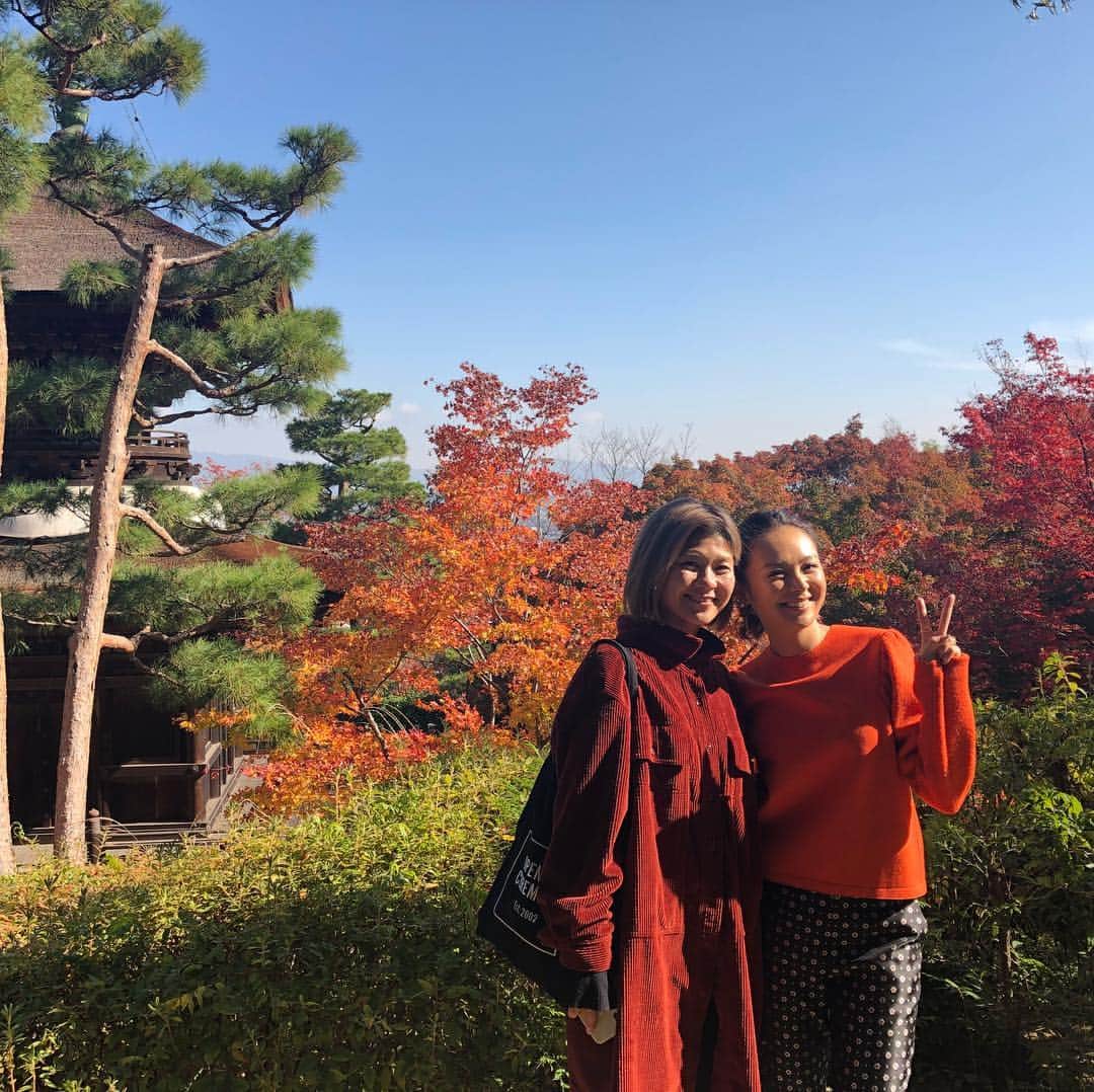 白石みきさんのインスタグラム写真 - (白石みきInstagram)「そうだ京都 、行こう。 と突然思いたち計画した京都旅行。 最高に楽しかった。 詳しくはFRaUのブログに書きます❣️ ・ ・ ・ #そうだ京都行こう #京都 #travel #kyoto #紅葉 #最後の写真#おでこに紅葉#新しい紅葉の楽しみ方w#彼に感謝#家族に感謝 #友に感謝 #竹内由香里#大好き」11月24日 17時47分 - miki_shiraishi1115