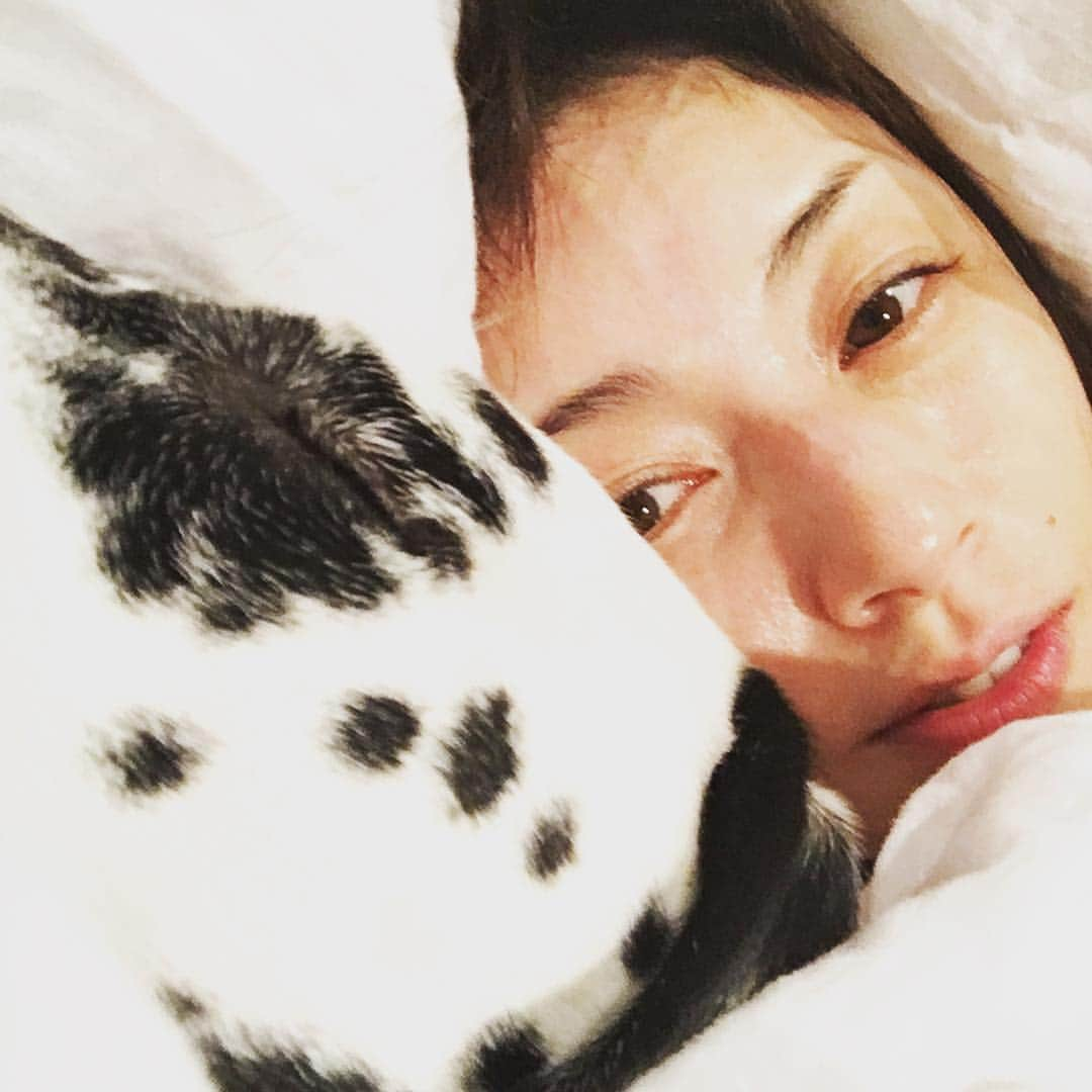 高岡早紀 さんのインスタグラム写真 - (高岡早紀 Instagram)「ぎゅぎゅーってして寝よー おやすみー #dalmatian」11月24日 22時44分 - saki_takaoka