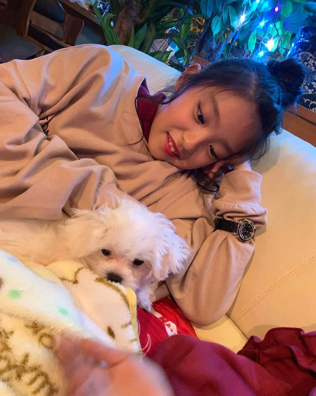 みみパパのインスタグラム：「#マルチーズ」