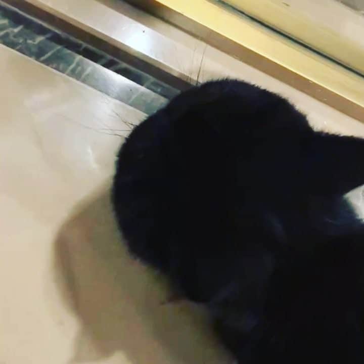 クアン・シャオトン（Guan Xiaotong）のインスタグラム：「🥺🥺🥺」