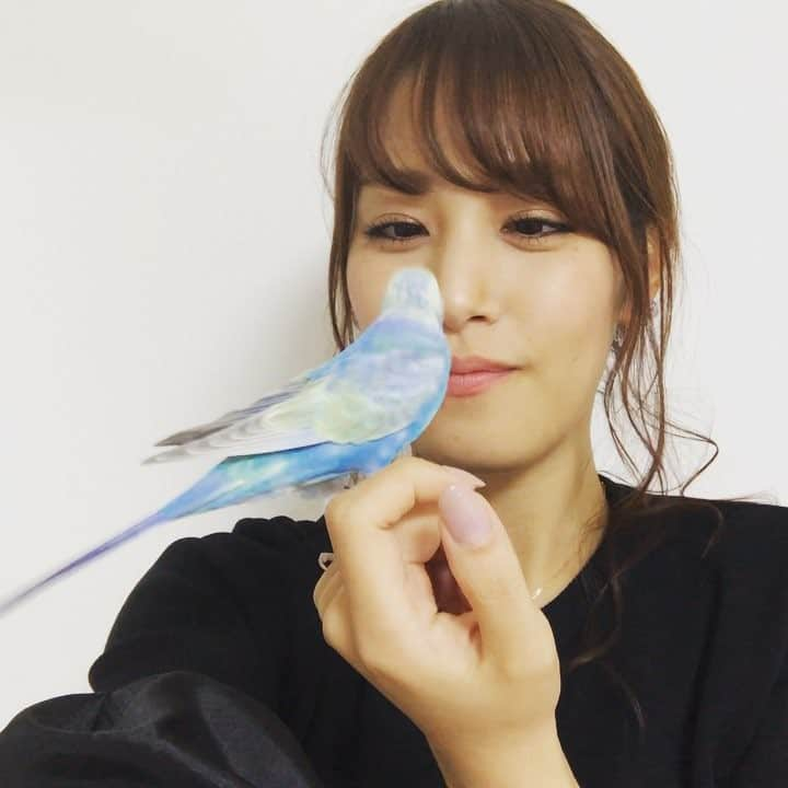 鷲見玲奈のインスタグラム