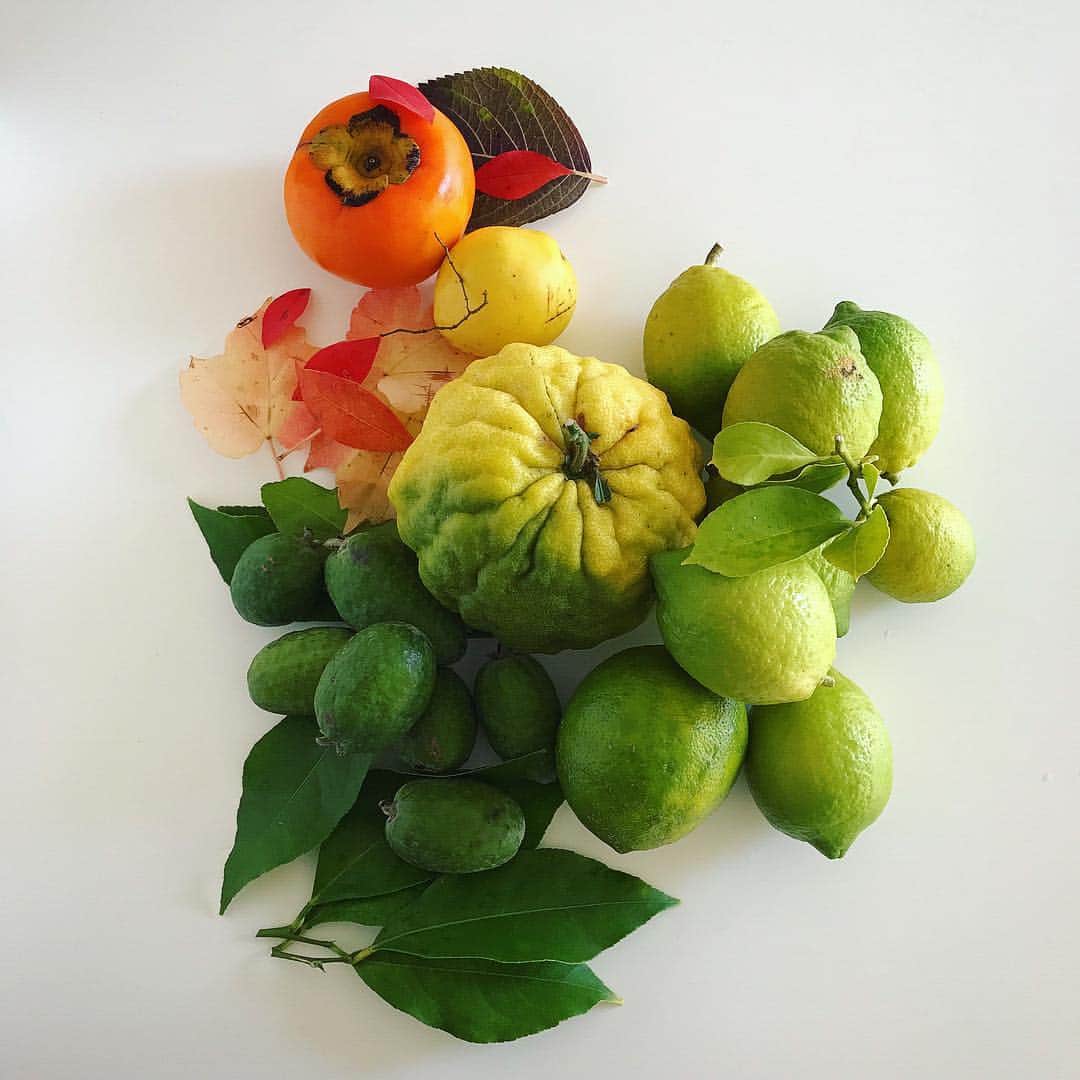 福田里香のグルメインスタ