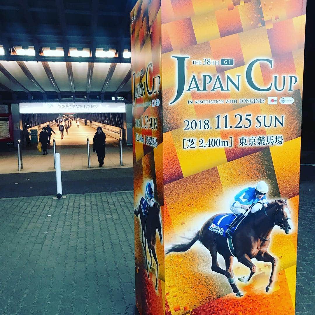 小澤陽子さんのインスタグラム写真 - (小澤陽子Instagram)「at work☻  今日は…東京競馬場で！ 🇫🇷🇯🇵JAPAN CUP🇬🇧🇩🇪 直前トレセン情報🏇  前走は熱中症のような状態でも圧勝だった 大注目ダントツ人気の、３歳牝馬三冠(女の子)アーモンドアイも、順調のようでした🐴💖 . . なんと管理する国枝調教師の隣で追い切りを拝見したんですが、先生自身も、 『すごいよねぇ〜』と感心していました😂✨ 初めて、歳上の男の子との対戦、という点も、 「普段一緒にやってるから」と不安は無さそうでした🌟. . 〝秋華賞前との違い〟について 国枝先生は、同じくらいの体重なんだけど、身体つきがシャープになったと。疲れもなく、今回のほうが順調なんだとか😳  国枝さんによると、 乗るとアイちゃん👁こと、アーモンドアイが〝行儀よくなる〟という、ルメール騎手は、 三冠が一番の目標だったが達成できてよかった、今回が最後の挑戦。 ２週連続でこの馬の調教すべく関東に来てて、今回は100%の状態だとのこと💃🏼 素晴らしいという加速力を、車のフェラーリに例えて お茶目なルメール騎手でした🤣✨. . #久々の #美浦トレーニングセンター #６週連続G I外国人が制覇 #今日は7人が参戦🇮🇹🇧🇷🇫🇷 #アーモンドアイ #三冠牝馬 #録画できる双眼鏡で調教を見る #国枝調教師 #ルメール騎手 #サトノクラウン #ミッキースワロー #JAPANCUP #ジャパンカップ #日本でも1番賞金の高いこのレース  みなさんは、どの馬・騎手を応援しますか！？ 楽しみましょう🐲🌼」11月25日 11時20分 - yoko.ozawa729