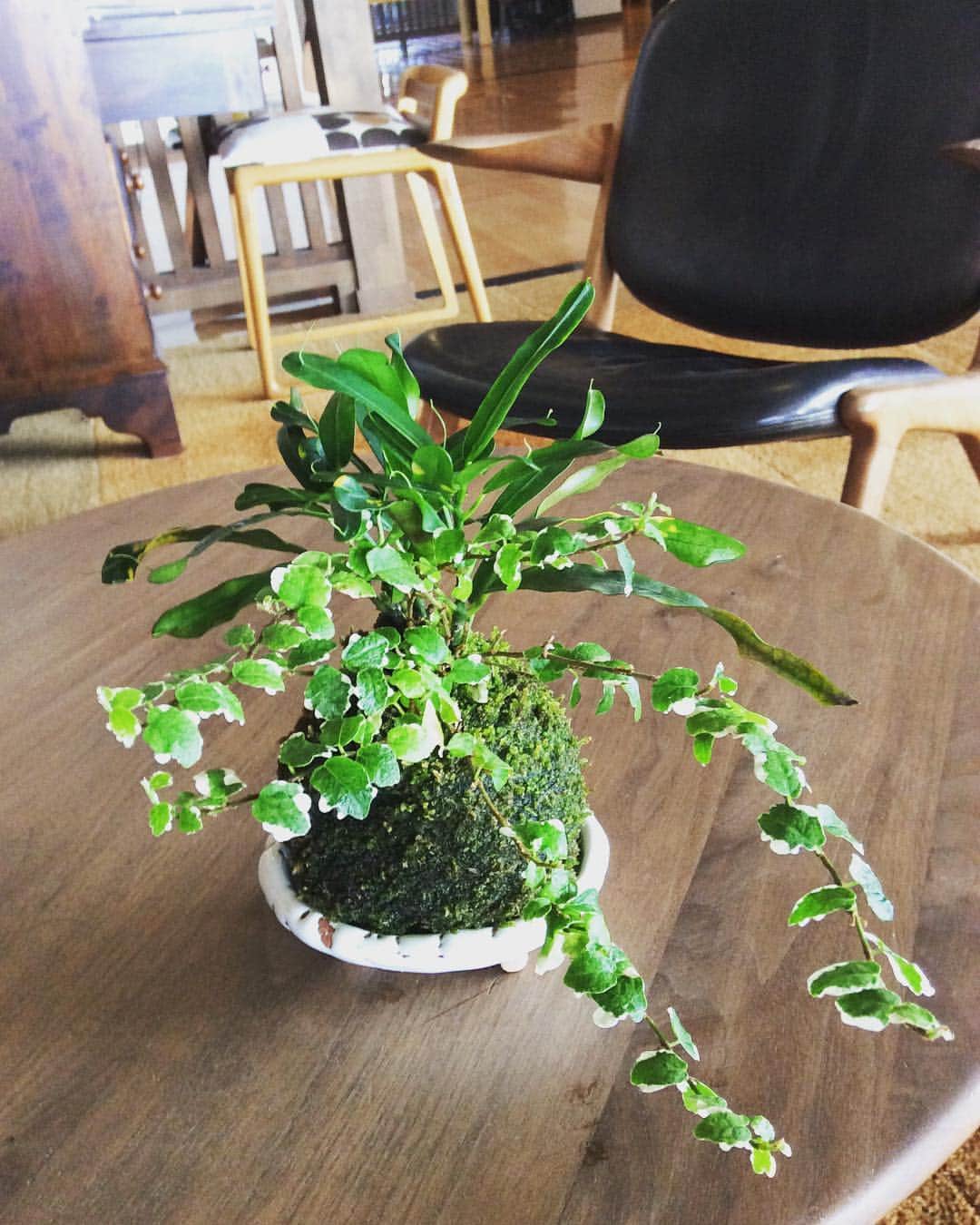 祥吉のグルメインスタ