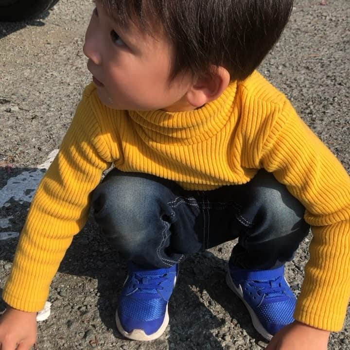 坂田 光のインスタグラム：「弟の息子ちゃんの かえでにやっと会えた パパのお兄ちゃんつっても意味不明の顔してたから、 ただの、光という大人。 弟の小さい頃にそっくりだ。 愛しさの果て」