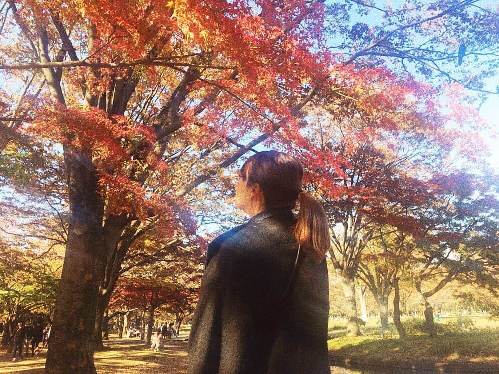 外川礼子のインスタグラム：「． 紅葉がとても綺麗な季節なので、最近週末になると公園にお散歩ばっかり行ってる。笑 今日は代々木公園に行ってきました✌︎ #代々木公園 #紅葉 #楓 #銀杏 #yoyogipark #🍁」