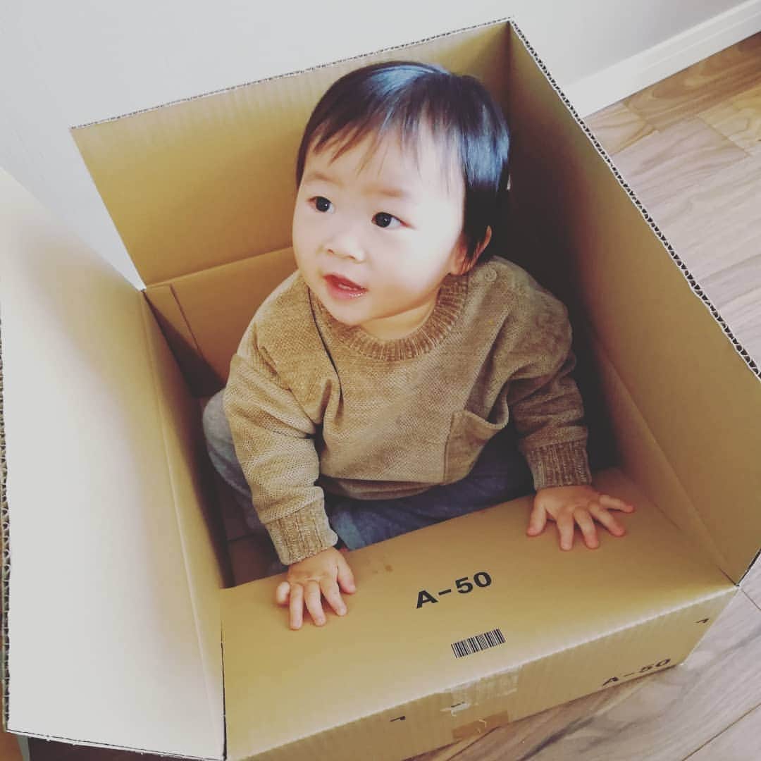 のインスタグラム：「箱入り甥っ子🚚  #箱入り甥っ子 #初対面 #よだれマックス」