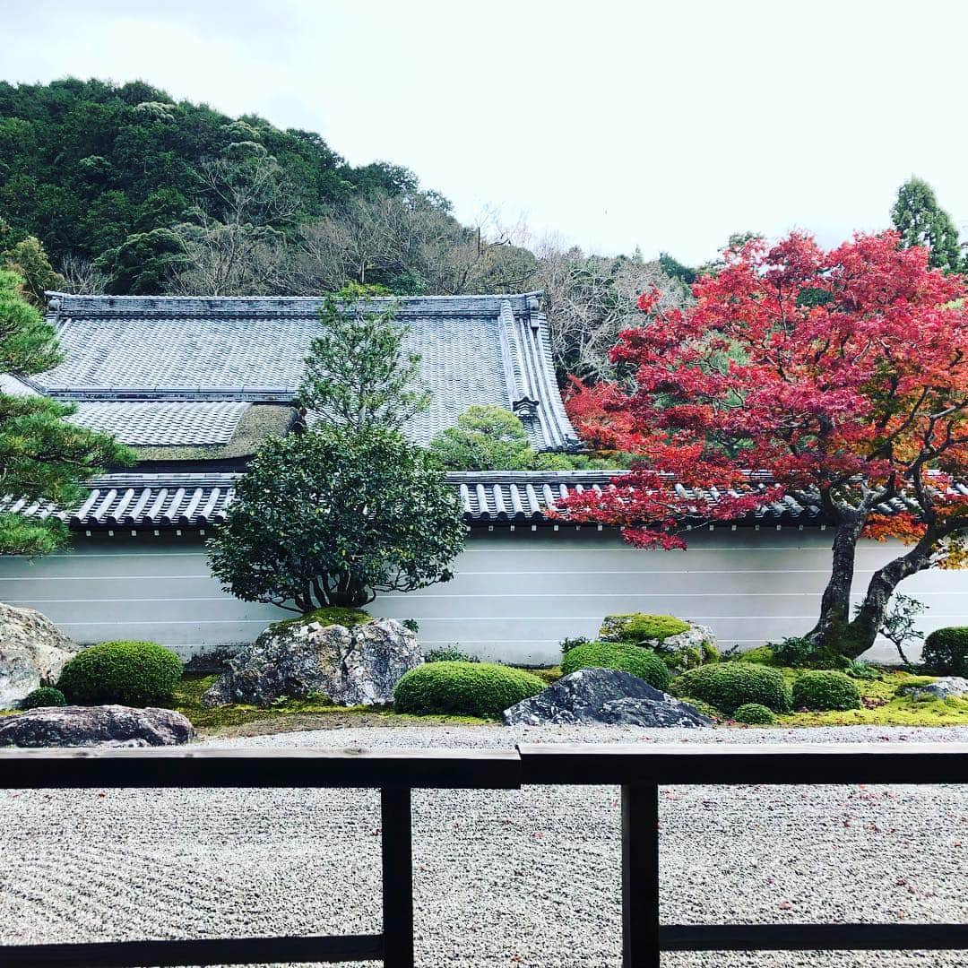 高本剛志さんのインスタグラム写真 - (高本剛志Instagram)「南禅寺の紅葉が見頃です。 絶景かな絶景かな。 京都大好き。 #南禅寺」11月25日 20時04分 - takamoto76