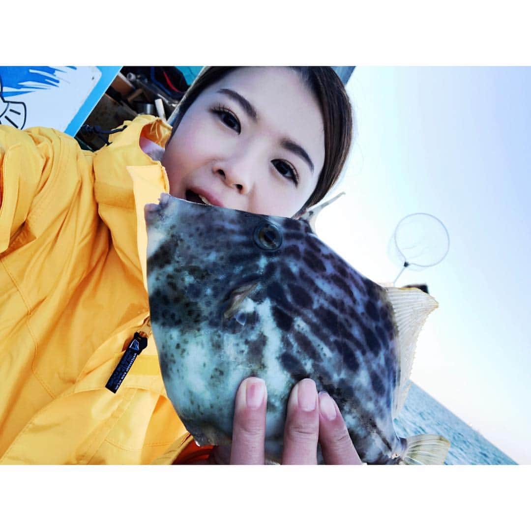 福咲れんのインスタグラム：「今季初のカワハギ〜！ なんとか５枚釣れた🎣  お刺身、肝ポン酢、なめろう、唐揚げにしていただきました😗  相棒リュックは今日も #gastonluga  15%offディスカウント コード: ren15(期限なし) http://gastonluga.com  #ガストンルーガ #送料無料 #バックパック #リュック  #カワハギ #釣り #釣りガール #釣りを趣味にしたい人 #fishing #tsurijoy」