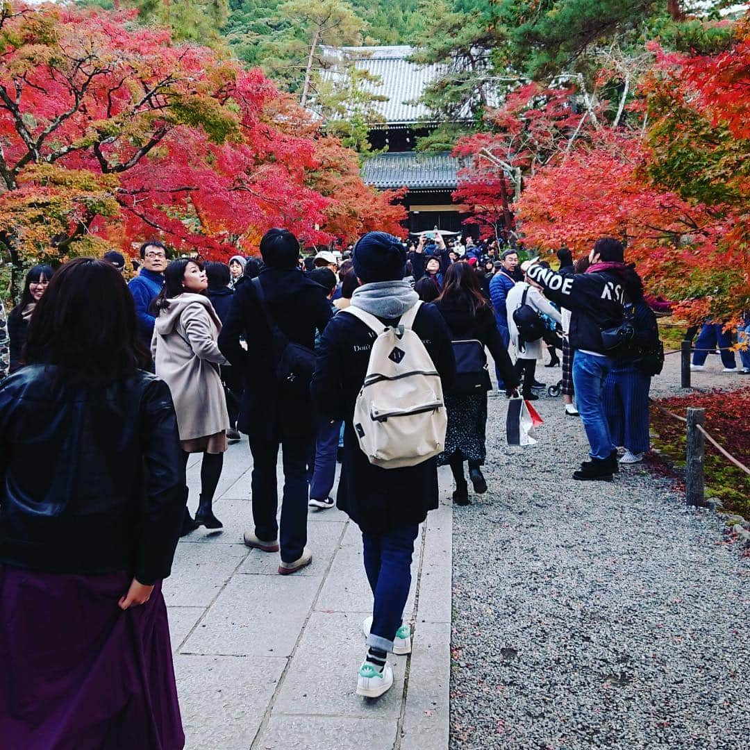 高本剛志さんのインスタグラム写真 - (高本剛志Instagram)「南禅寺の紅葉が見頃です。 絶景かな絶景かな。 京都大好き。 #南禅寺」11月25日 20時04分 - takamoto76