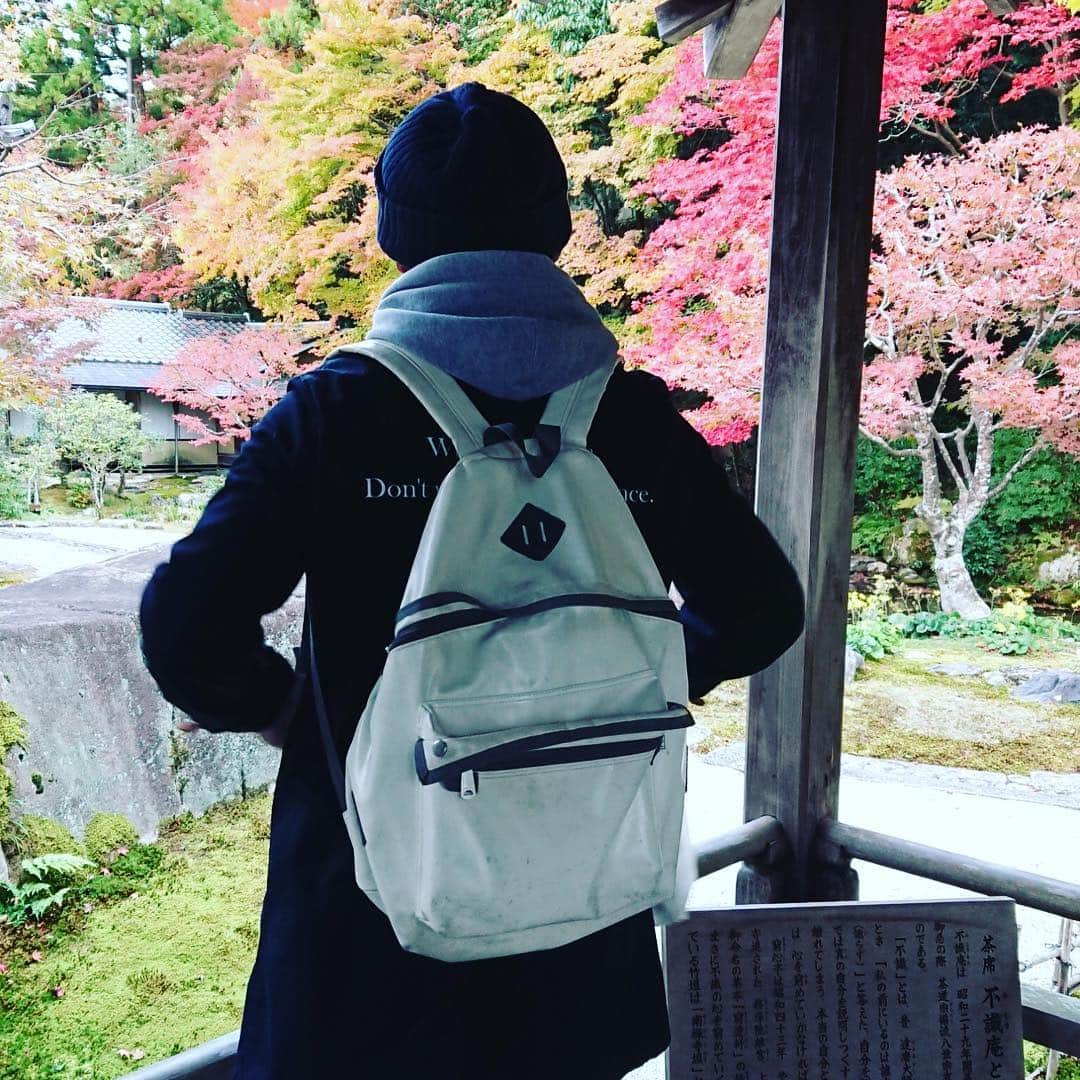 高本剛志さんのインスタグラム写真 - (高本剛志Instagram)「南禅寺の紅葉が見頃です。 絶景かな絶景かな。 京都大好き。 #南禅寺」11月25日 20時04分 - takamoto76