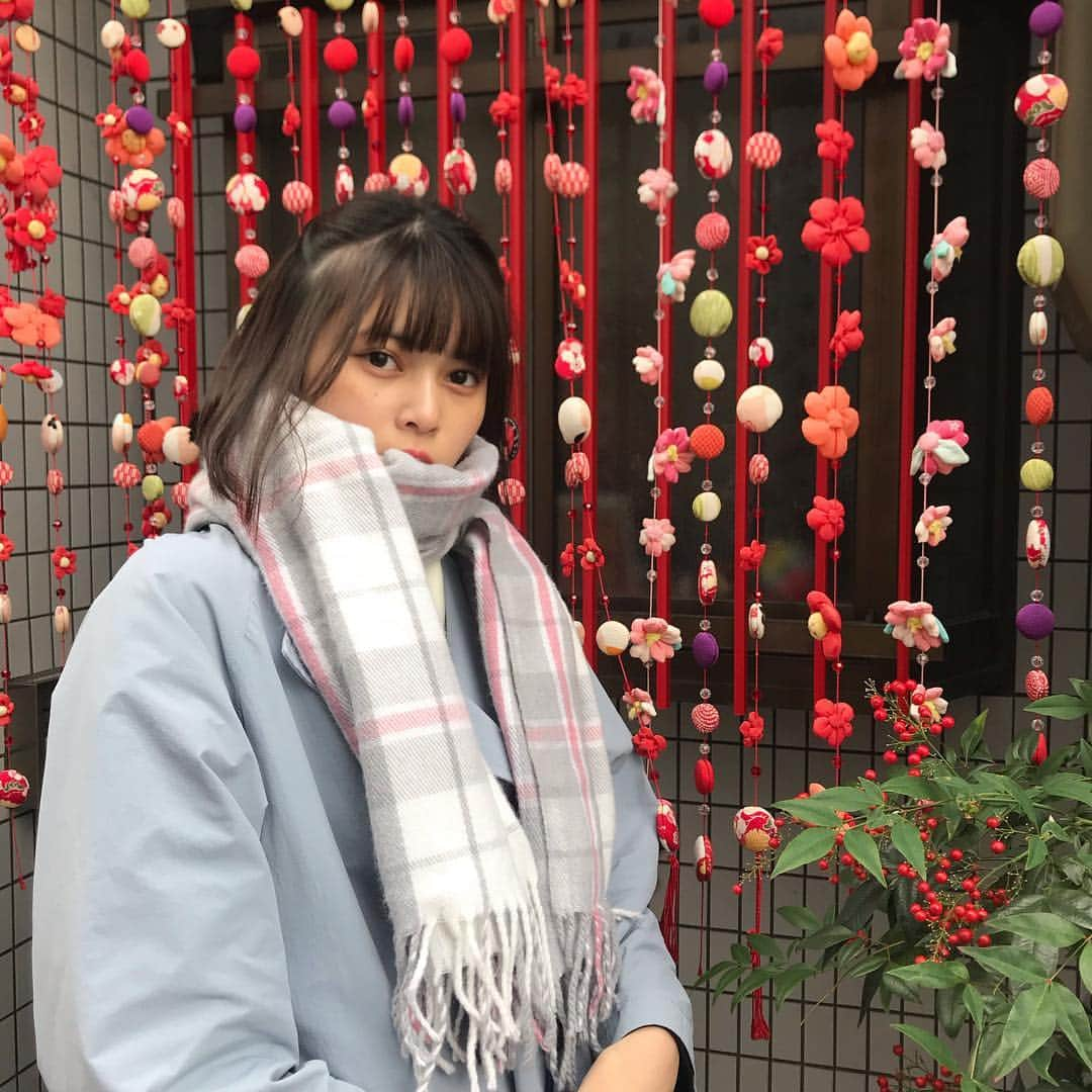 松岡花佳さんのインスタグラム写真 - (松岡花佳Instagram)「京都」11月25日 20時15分 - hanakamatsuoka