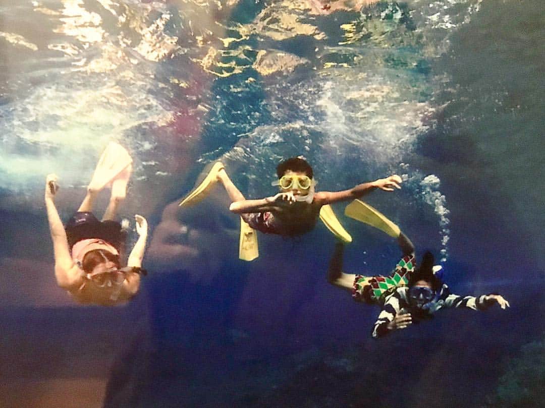 PINKYのインスタグラム：「We were in earthly paradise BONIN ISLAND🌈🌈🌈 . 本日ワールドプレミア上映された、豊田利晃 監督の新作ドキュメンタリー映画【PLANETIST】✨🌏✨ . その撮影の為に2015年に主人と息子に同行して訪れた小笠原諸島は、正に地上の楽園と呼ぶに相応しい素晴らしい場所でした🌈🐬🌊🌺🌴 . 映画を観たらまたとってもBONIN ISLANDに行きたくなって、次に行ける日が本当に待ち遠しい🌊💙✨ ・・・ ・・・ #love #happy #family #mamalife #momlife #planetist #豊田利晃 #窪塚洋介 #小笠原諸島 #boninisland #boninblue #planetistneverdie」