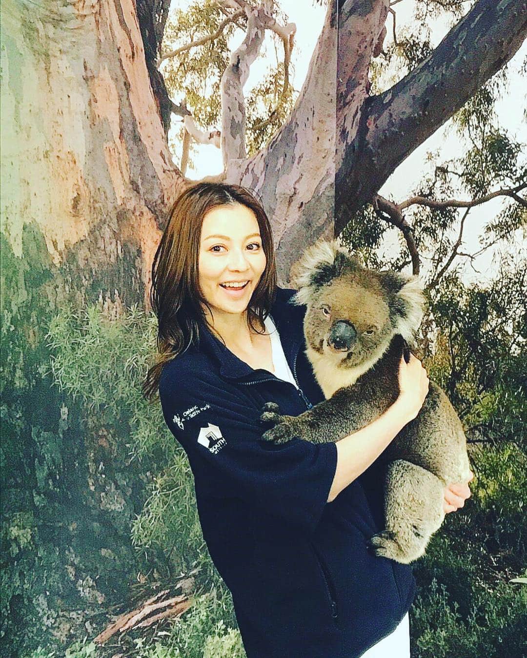 のインスタグラム：「It's an amazing experience!! 🐨🐨🐨🐨🐨🐨🐨🐨🐨💫 His name is Nick 😎 Thank u Nick 🤤 You were so kind 🤤🤤 #iamkarina #itisnotfake #forreal #karina #香里奈 #koara  #happy #Australia #Adelaide #clelandwildlifepark #amazing #experience #smellsgood  #kind #cute #🇦🇺」