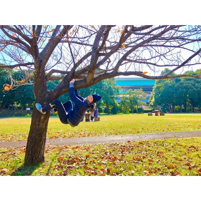 池江璃花子さんのインスタグラム写真 - (池江璃花子Instagram)「* 長い3週間の試合期間が終わりました！ 最後はすごくきつかったけど、良いレースもあったし、あとは冬場頑張るだけ🤩✨ 写真は関係ないけどお昼お散歩した時に木登りしたよ🌲☀️」11月25日 22時53分 - ikee.rikako