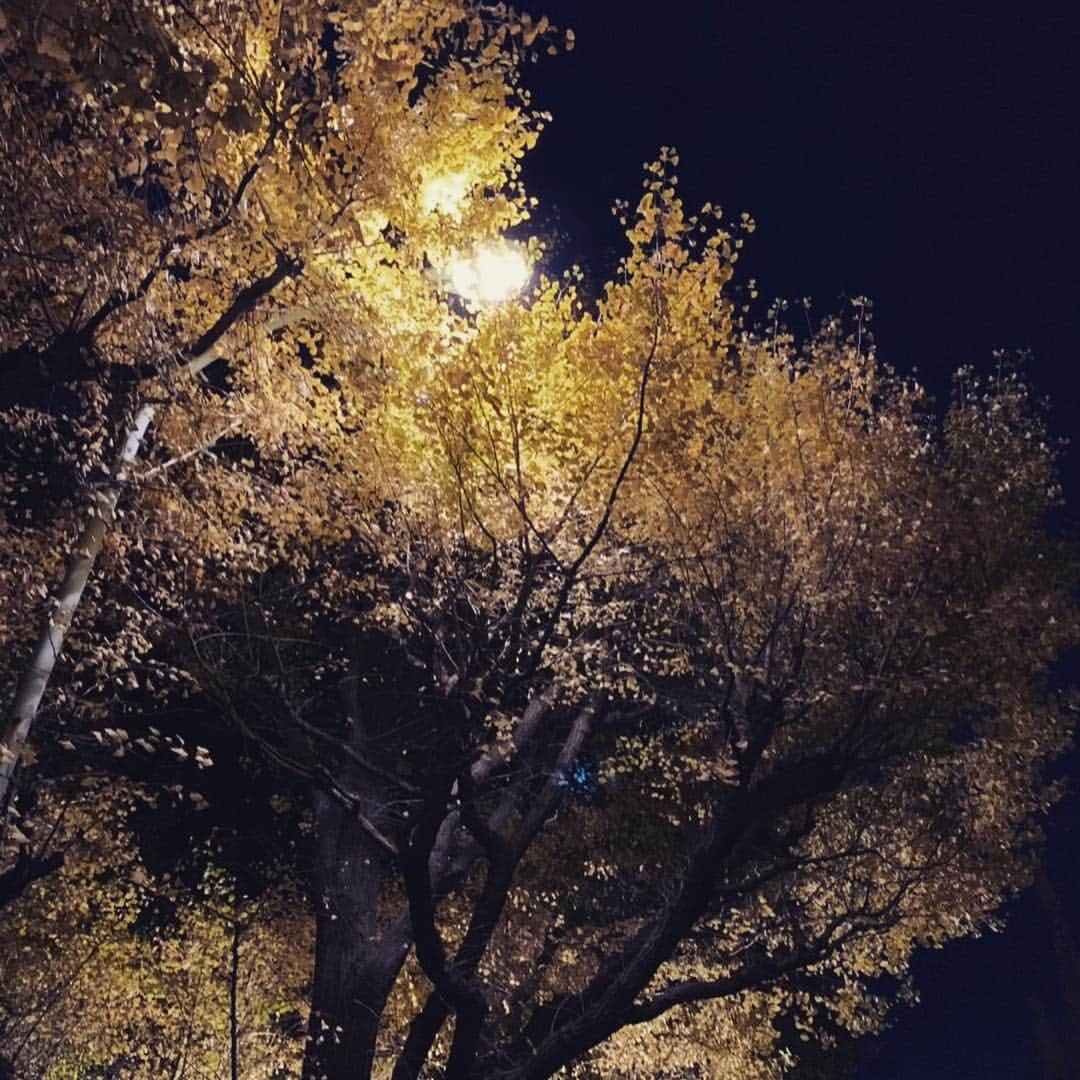 巻野わかばさんのインスタグラム写真 - (巻野わかばInstagram)「おはようございます☀  昨夜の夜ラン🏃‍♀️🎆 東京に来ていたともちゃんと💓  赤坂→神宮外苑→六本木のライトアップされたコースをイルミラン👯‍♀️w  楽しすぎて本当にあっという間でした☺️ 急坂が続く道を楽しそうに走りながら✨息を切らさず会話するともちゃんが 私の中ではなにより輝いてました😆❤️ 11月最後の週、今週も頑張りましょう☺️❣️ ストーリー見てくださりありがとうございます😊🙌 #nikeplus#running#training#nike#garmin#ナイキプラス#ランニング#ジョギング#夜ラン#イルミラン#六本木#神宮外苑いちょう並木」11月26日 9時03分 - _wakaba__