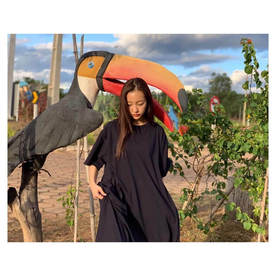 板野友美さんのインスタグラム写真 - (板野友美Instagram)「とあるお仕事で海外にいます🦜🧡💛💚」11月26日 7時51分 - tomo.i_0703