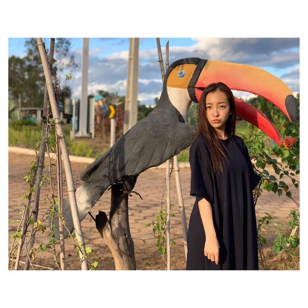 板野友美さんのインスタグラム写真 - (板野友美Instagram)「とあるお仕事で海外にいます🦜🧡💛💚」11月26日 7時51分 - tomo.i_0703