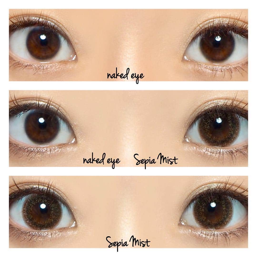 y_u_mさんのインスタグラム写真 - (y_u_mInstagram)「アイジェニック セピアミスト . ( 'ω'o[ 直径14.5mm 着色直径13.7mm BC8.7 ]o マンスリーカラコン . 【 #yumのカラコンレポ 】 【 #yumのアイジェニック 】 . 公式の着画やと赤み強めなブラウンやったけど... 私つけたらフチがブラウンでメインカラーはオリーブっぽい発色に🤭 むしろ逆いってる気がする🤣笑 . 私...エバーカラー系が着画と同じ発色にならん😢😢😢 . . 今日はやっとネイルできた💅🏼💓 . . #Colorcontact #カラコン #アイジェニック #EYEGENIC #セピアミスト #EOTD #eyes #makeup #マツエク #メイク #アイメイク #カラコンレビュー #カラコンレポ #カラコン着画 #マンスリーカラコン #マンスリー #l4l #新木優子」11月26日 19時14分 - yuum_ing