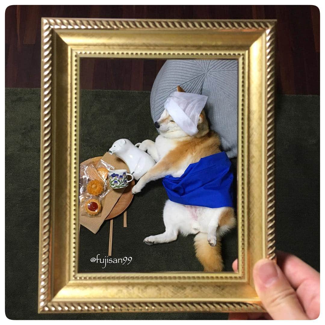 ai-chanさんのインスタグラム写真 - (ai-chanInstagram)「ai-chan 😴 🐶『sleeping dog art』back number76 Vermeer 🎨〝The Milkmaid〟 ai's masterpiece 🖼 haha! . Historical exhibition Vermeer in Tokyo☺️Now on . . . 🐶『寝相アート』back number76 アイの世界の名画 🖼 🎨フェルメール〝牛乳を注ぐ女〟 . フェルメールの絵画の秘密 📺とても面白かった! 上野に行きたくなった… . 前にアイちゃんで寝相やってみたなーと思い出して見返してみる😚 上野に行きたくなった…本物が見たい。 . 🐕PS.アイちゃん、元気です🧡 . . #寝相アート #sleepingart #sleepingdogart #dogart #dogartist #vermeer #johannesvermeer #milkmaid #themilkmaid #フェルメール #牛乳を注ぐ女 #arabiafinland」11月26日 13時28分 - fujisan99