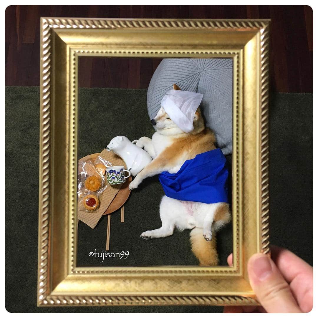 のインスタグラム：「ai-chan 😴 🐶『sleeping dog art』back number76 Vermeer 🎨〝The Milkmaid〟 ai's masterpiece 🖼 haha! . Historical exhibition Vermeer in Tokyo☺️Now on . . . 🐶『寝相アート』back number76 アイの世界の名画 🖼 🎨フェルメール〝牛乳を注ぐ女〟 . フェルメールの絵画の秘密 📺とても面白かった! 上野に行きたくなった… . 前にアイちゃんで寝相やってみたなーと思い出して見返してみる😚 上野に行きたくなった…本物が見たい。 . 🐕PS.アイちゃん、元気です🧡 . . #寝相アート #sleepingart #sleepingdogart #dogart #dogartist #vermeer #johannesvermeer #milkmaid #themilkmaid #フェルメール #牛乳を注ぐ女 #arabiafinland」