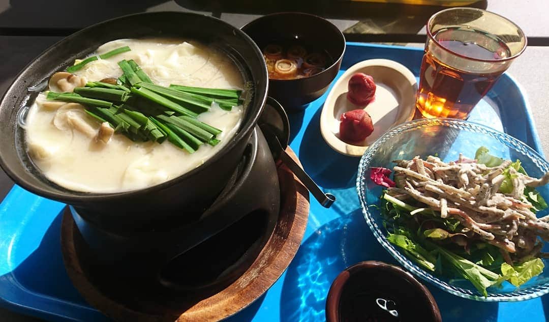 のインスタグラム：「『水餃子』新宿の吉本興業本社にある社員食堂「Munch Lunch 」(^-^)♪サラダやカレーや味噌汁の食べ放題が付いて500円！ 美味しかったのです♪コント稽古終わりで、次長課長河本さんにご馳走になりました(^O^) #吉本興業 #本社 #社員食堂 #munch  #lunch #マンチランチ #モグモグ食べる #水餃子 #白湯 #スープ #500円  #安い #ランチ #レギュラー松本 #あるある探検隊」
