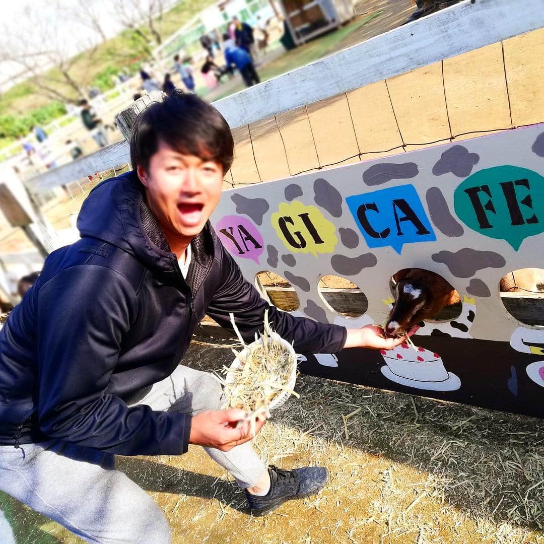 唐川侑己のインスタグラム：「昨日はヤギに餌やり・・・🐐 今日は投手会ゴルフコンペ⛳️🏌️‍♂️ #成田ゆめ牧場#山羊#手がべちょべちょ#ロッテ#投手会#ゴルフコンペ#成田翔#生意気#基本タメ口#可愛いから許されると思ってる#許さない#キャディーさん同中#名門成田西#炊飯器当たるといいな」