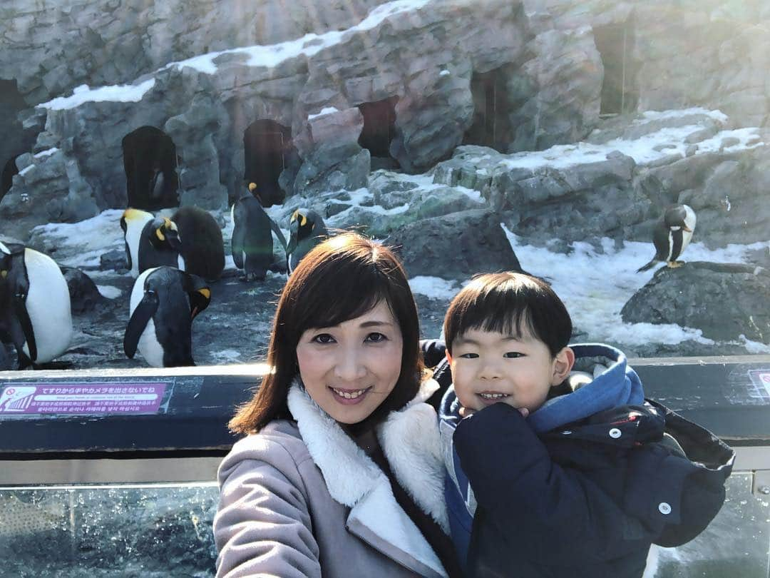 三宅智子さんのインスタグラム写真 - (三宅智子Instagram)「北海道最終日は、息子と旭山動物園へ行って来ました！ペンギンさん♪」11月26日 16時26分 - tomoko1121m