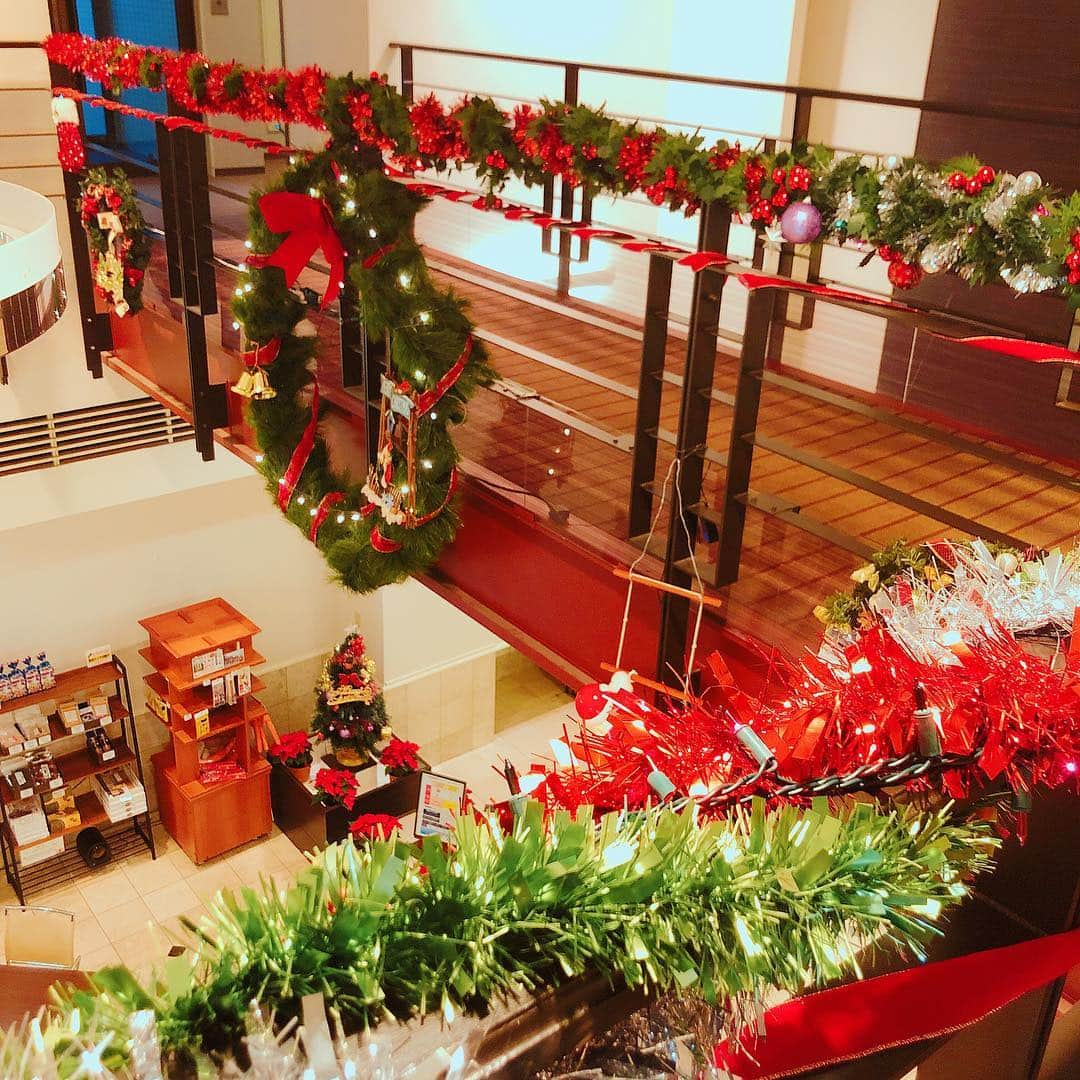 ホテルWBFグランデ函館(旧函館グランドホテル)のインスタグラム：「ホテル内がクリスマス一色に🎄✨✨ ホテルスタッフが皆んな一生懸命飾り付けしてくれました^_^ 蔦屋書店も毎年クリスマスのデコレーションがされて可愛いです⛄️❄️」