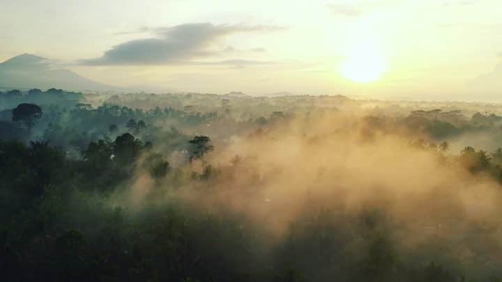 wacameraのインスタグラム：「We got up at 4am and took a video of the sunrise!! 4時起きでライステラスに行き睡眠と引き換えに朝日を撮影してきました( ●´◡`● ) バリの旅、まだまだ始まったばかりだけど、昨日の夜カメラをベッドから落としてフードを割りました。そしておろしたての白いスニーカーで泥の水たまりにはまりました☺️」