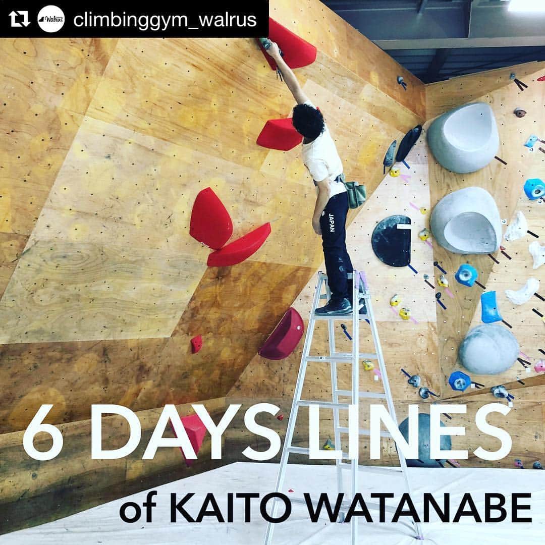 のインスタグラム：「Route setting at @climbinggym_walrus !! It is a problem for only one week !! #bouldering #climbing @rollfilm_suck @eyecandyworks  #routesetting」