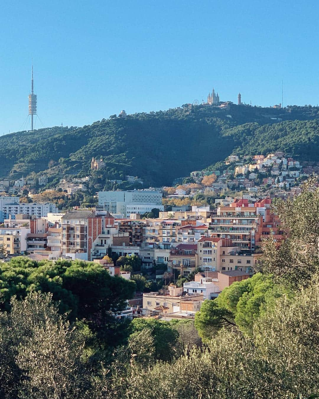 Reed Reederのインスタグラム：「You’re alright, Barcelona 😍」