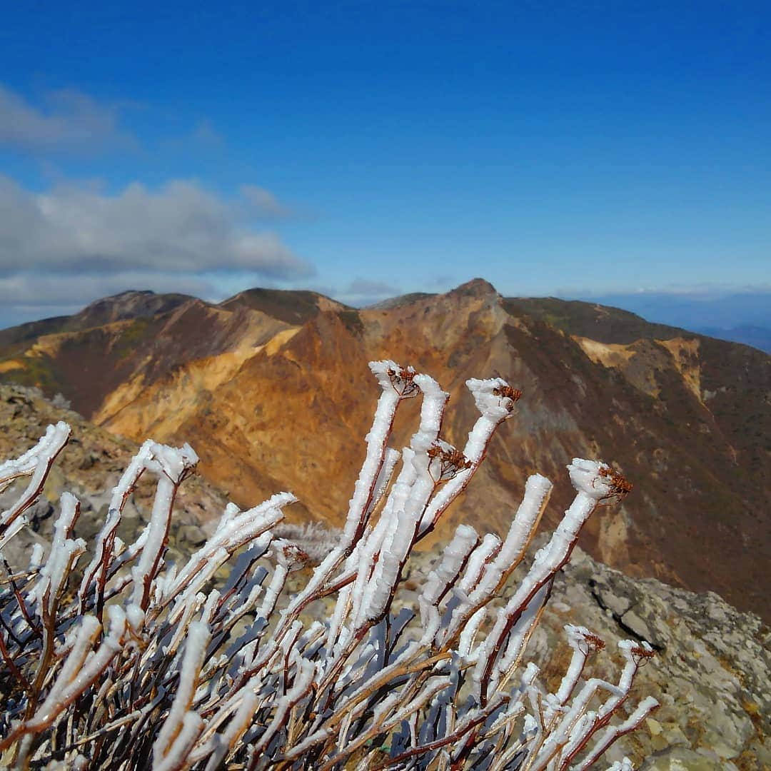 今井寿子のインスタグラム：「茶臼岳からの景色です🏔️ 犬🐕がいない時には向こうの山まで登ったんだなぁ～。 4,5kg🐶と登山荷物を持って…頑張れません😓⤵️ 最近バイキングばかりです😅💦 #今井寿子 #HisakoImai #カプセルエージェンシー #那須岳 #那須茶臼岳 #那須ロープウェイ #茶臼岳登山 #山  #氷」