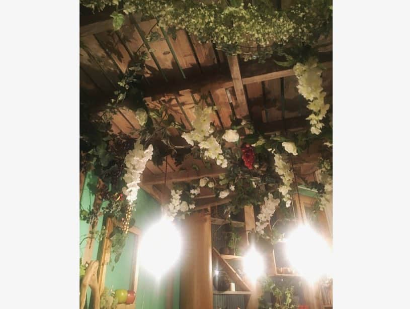 青木千春さんのインスタグラム写真 - (青木千春Instagram)「・ ・ ♡ ukiuki cafe☕️🍰 森がテーマになっていて とても可愛いカフェでした🐰 ♡ ・ ・ #ukiukicafe #森カフェ #代官山カフェ #cakes #chocolate」11月27日 23時36分 - chiiihaaarun