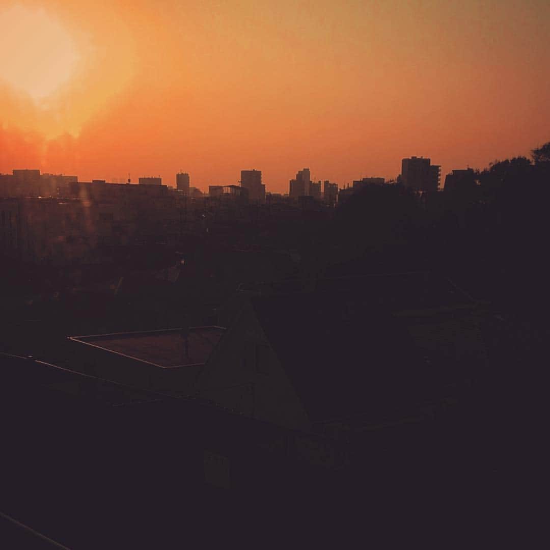 マモさんのインスタグラム写真 - (マモInstagram)「溶ける夕陽」11月27日 15時50分 - yuuyakemamomichan