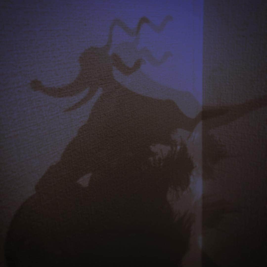 chiiiiiのインスタグラム：「my rooooooom ~ ~」