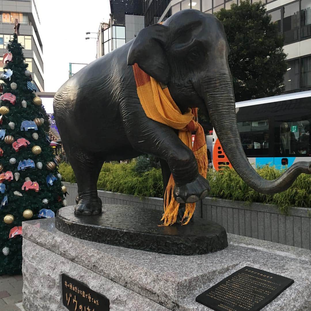 マキヒロチのグルメインスタ