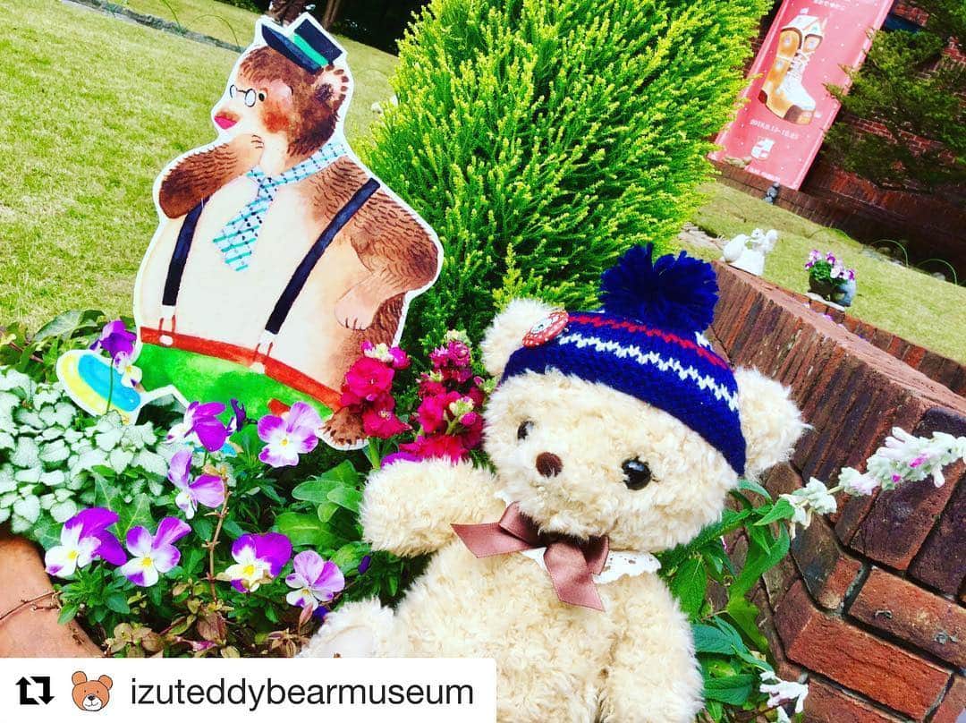 のインスタグラム：「25日クリスマスまで開催しています！よろしくお願いします✨#Repost @izuteddybearmuseum with @get_repost ・・・ * おおでゆかこさん個展『シロクマくつや 絵本原画展』は12月25日(火)までです🐻 * * #伊豆高原 #伊豆テディベアミュージアム #テディベアミュージアム #テディベア #teddybear #ぬいぐるみ #伊東市 #itouji #伊豆 #静岡 #シロクマくつや」