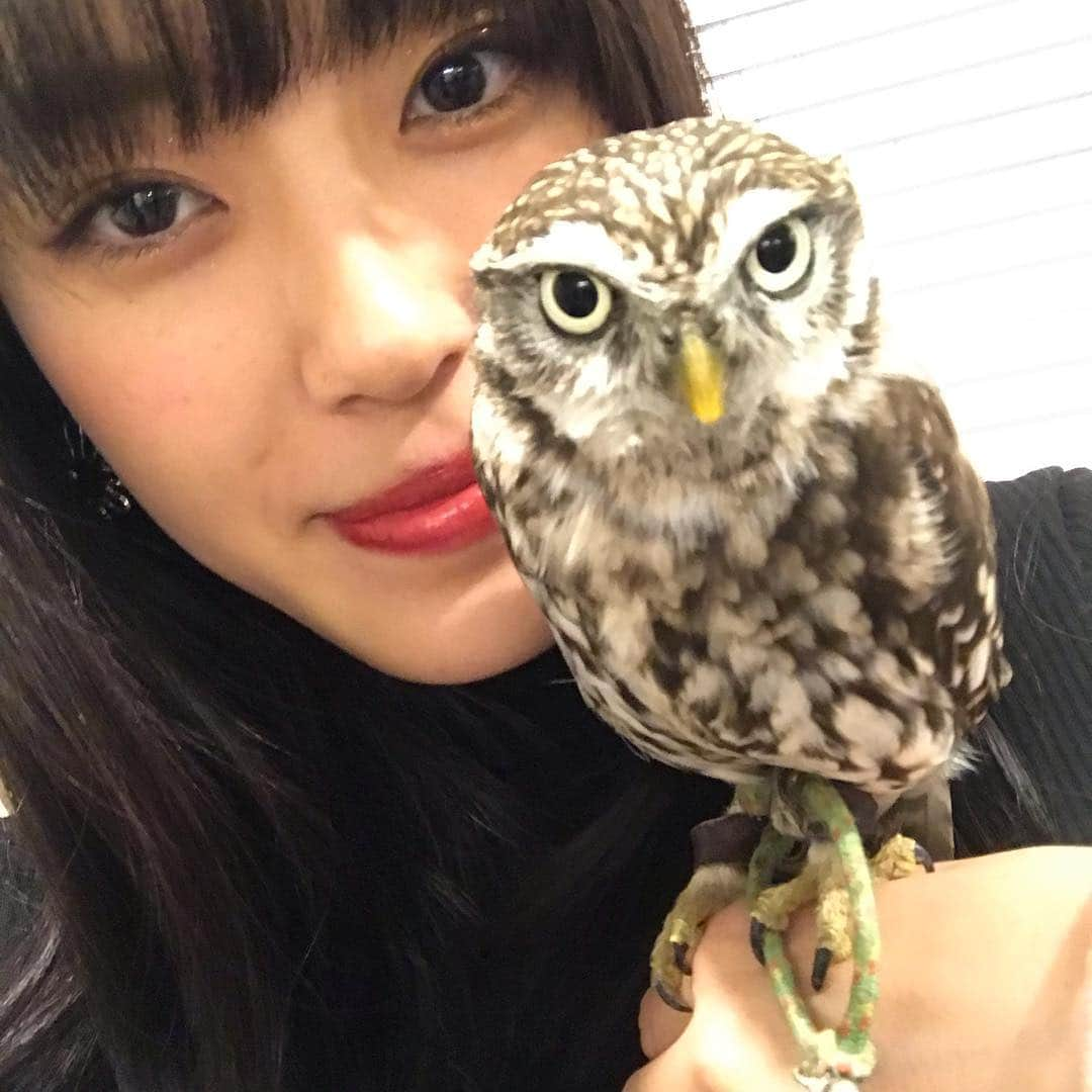 風戸蘭七さんのインスタグラム写真 - (風戸蘭七Instagram)「ふくろうが好きで堪らないです お久しぶりです」11月27日 21時50分 - rana_kazato