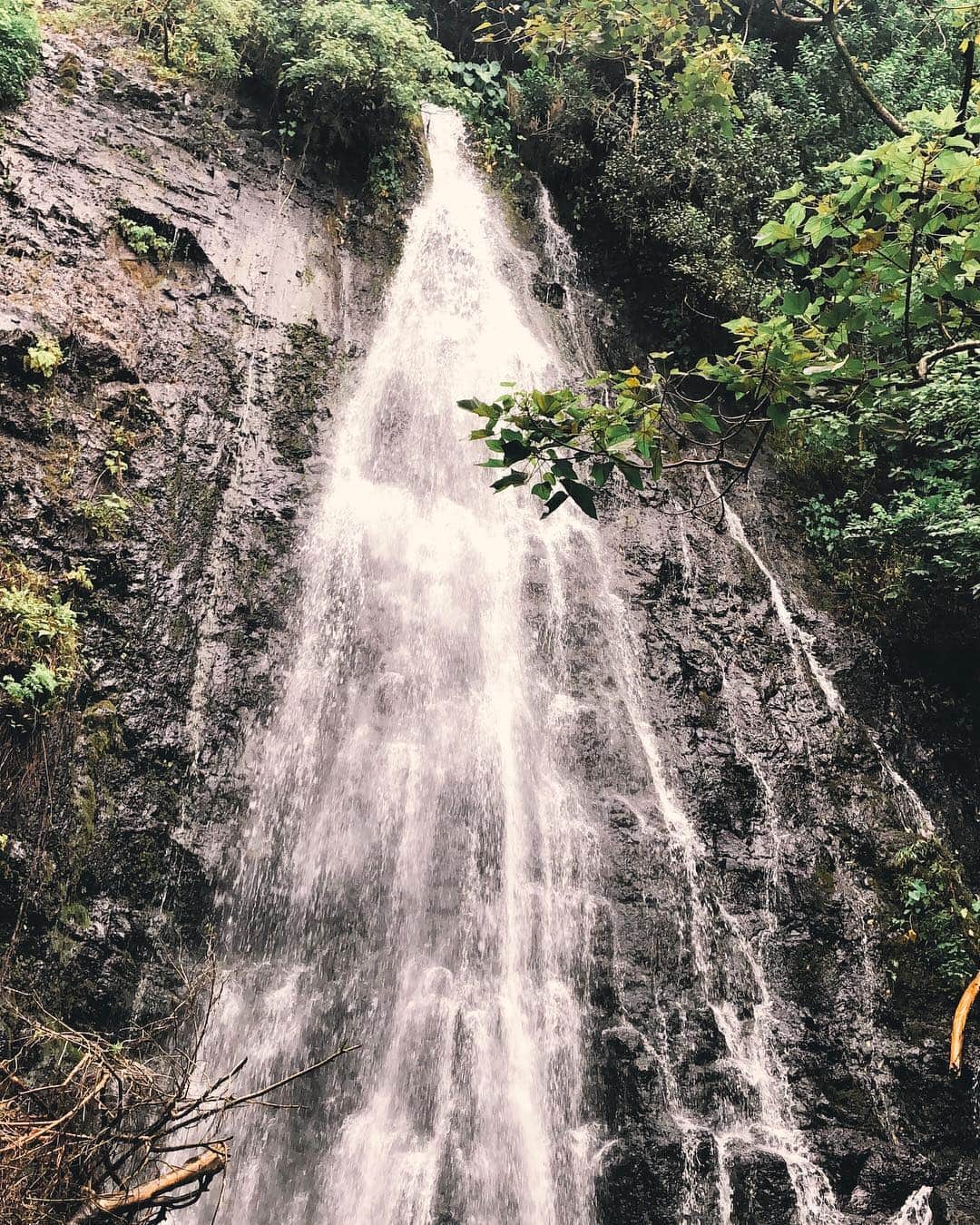 ALOHA☆GIRL 【アロハガール】さんのインスタグラム写真 - (ALOHA☆GIRL 【アロハガール】Instagram)「カネオヘ観光スポットの１つであるハママ滝(Hamama Falls)🌿水量たっぷりで大迫力です✨高低差も無くのんびり歩いて行けるので心肺への負担なし😅途中飛び込みで有名なプールもあり、子連れハイキングにもおススメです😎👪﻿ ﻿  #hawaii #honolulu #oahu #waikiki #beach #aloha #alohagirl #mahalo #hundreddreams #ハワイ #ホノルル #オアフ #ワイキキ #アロハ #アロハガール #ハンドレッドドリームス #ハワイ旅行 #ハワイ大好き #ハワイ好き #ハワイ在住 #ハワイ好きな人と繋がりたい #ハママフォールズ #ハイキング」11月28日 8時06分 - alohagirl.me