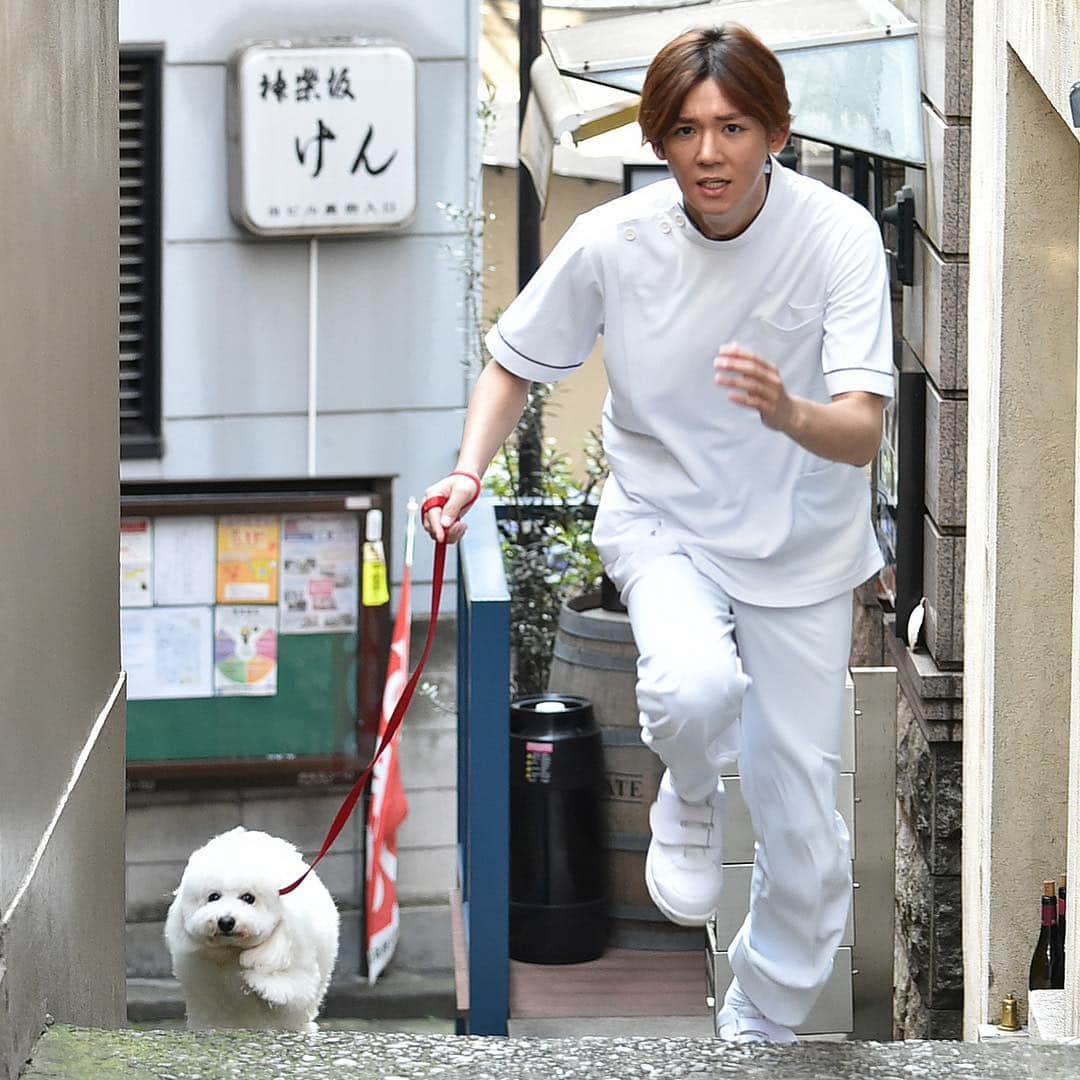 テレビ朝日「僕とシッポと神楽坂」のインスタグラム：「💖嬉しいお知らせ💚 全力坂×僕とシッポと神楽坂 11/28(水)25:23〜25:29（一部地域をのぞく） #僕坂 の #堀川くん が #ダイキチとあの #全力坂 に登場❣️ 神楽坂にある「フランス坂」を、獣医大生の白衣に身を包み全力疾走します！究極のもふもふ☁️☁️☁️ ☁️☁️ ☁️ 追伸 この坂は、あのドラマで🍎が転がった坂だよ^_^🐶 #僕とシッポと神楽坂 #僕坂 #シッポ #相葉雅紀 #広末涼子 #趣里 #小瀧望 #イッセー尾形 #眞島秀和 #大倉孝二 #村上淳 #渚 #ダイキチ #オギ #💚 #僕がずっとついてるよ」